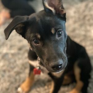 Meet your Posher, Michelle